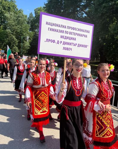 Професии 3