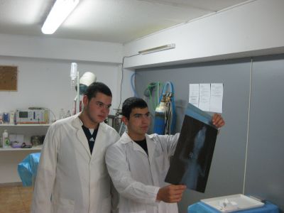 НПГВМ - Национална професионална гимназия по ветеринарна медицина Проф. д-р Д. Димов - Ловеч
